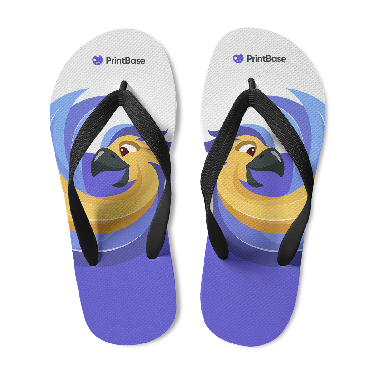 Flip Flops